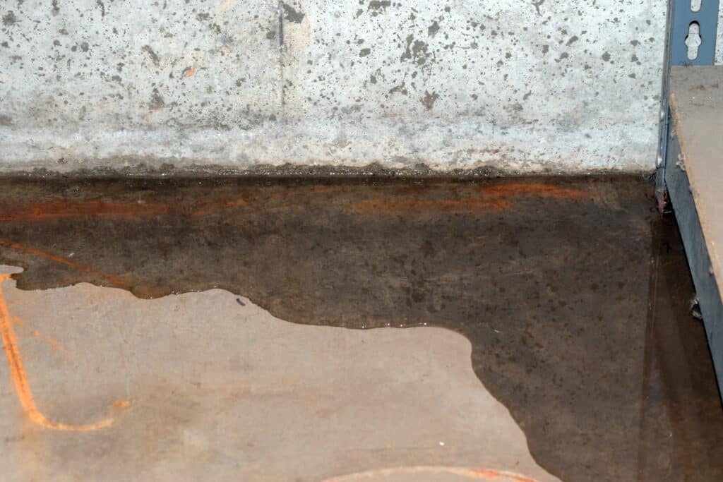Preventing Moisture, Mold, and Mice: Sealing Your Basement Floor