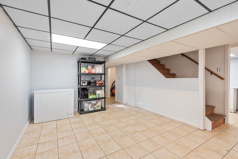 expert basement coating installers